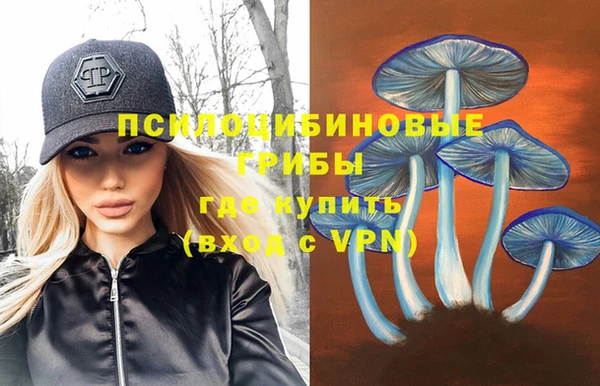 дмт Алексеевка
