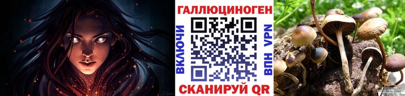 купить закладку  Тосно  Галлюциногенные грибы мицелий 